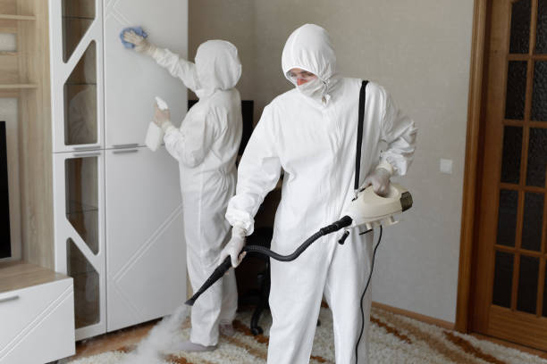 Best Crawl Space Mold Removal  in Belle Haven, VA